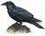 Images (6)_tiny